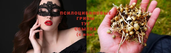 СК Волгодонск