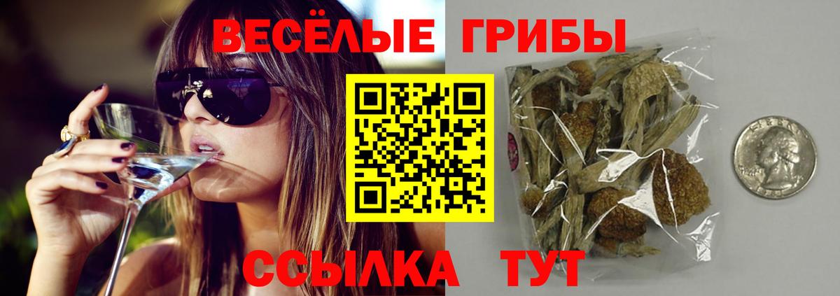 Псилоцибиновые грибы мицелий Череповец